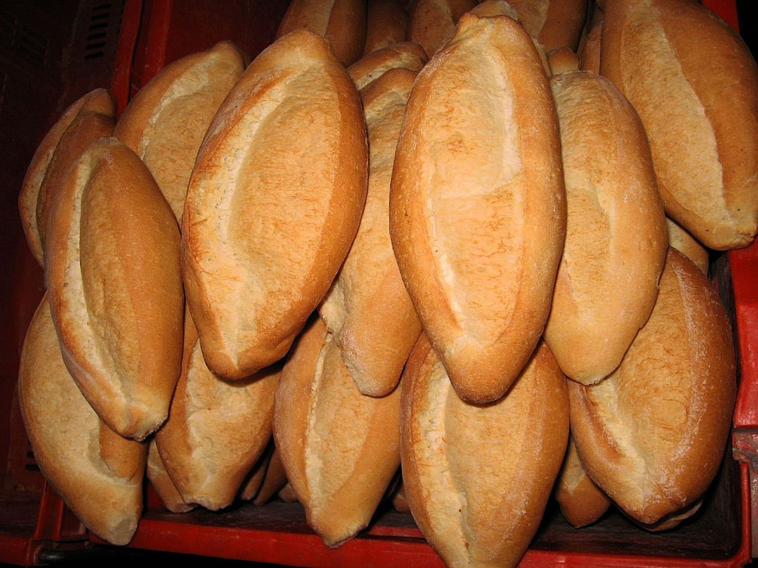 Bolillo
